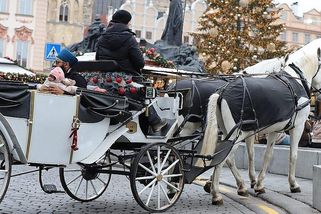 jezdci.cz/clanky/poklidny-protest-proti-fiakristum-skoncil-incidentem-jenz-resila-policie